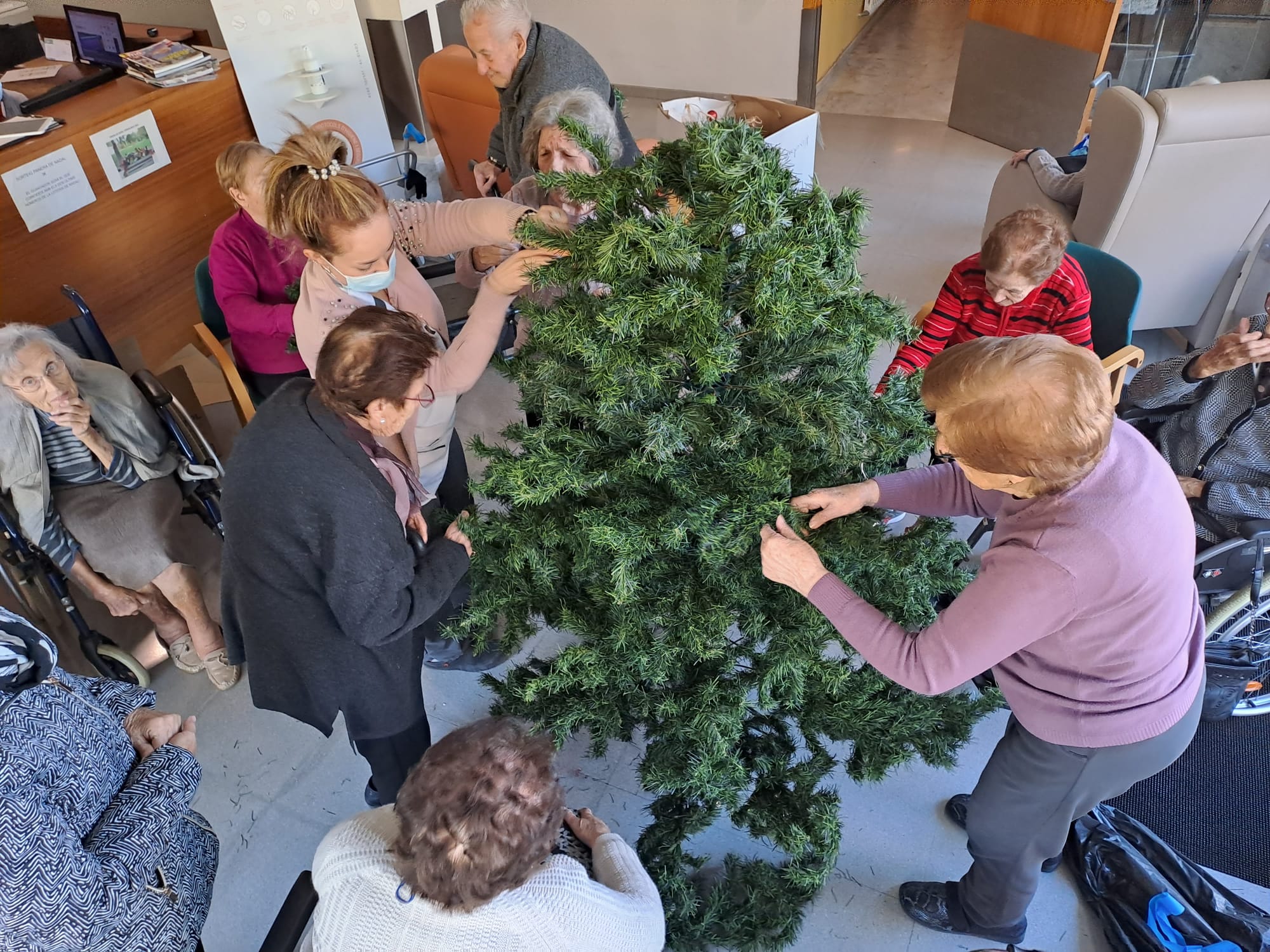 gent gran decorant l'arbre de nadal